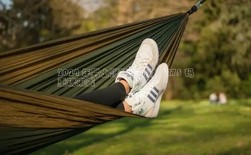 球速体育官网宇信科技2024 年男士爆款运动鞋 | 275 码
重磅来袭