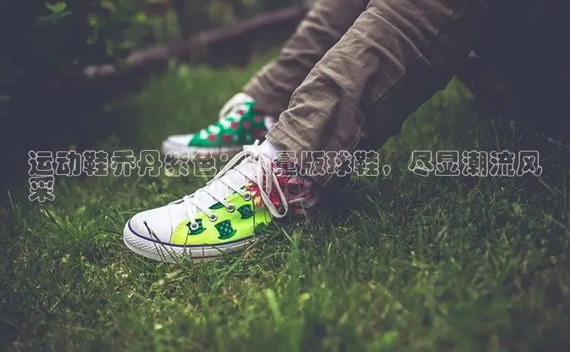 球速app官网登录入口中海达运动鞋乔丹紫色：限量版球鞋，尽显潮流风
采