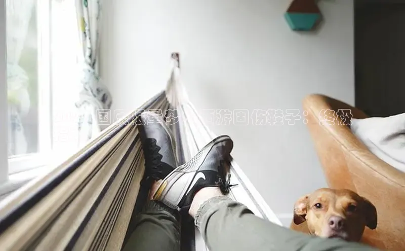 球速体育app官网入口百度健康2024 国庆限量梦幻西游固伤鞋子：终极
指南