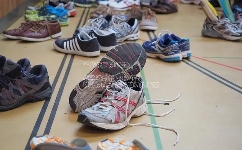 球速体育登录入口猫眼**优化后的标题：**

乔丹运动鞋 23：传奇
鞋款的全面评测和选购指南