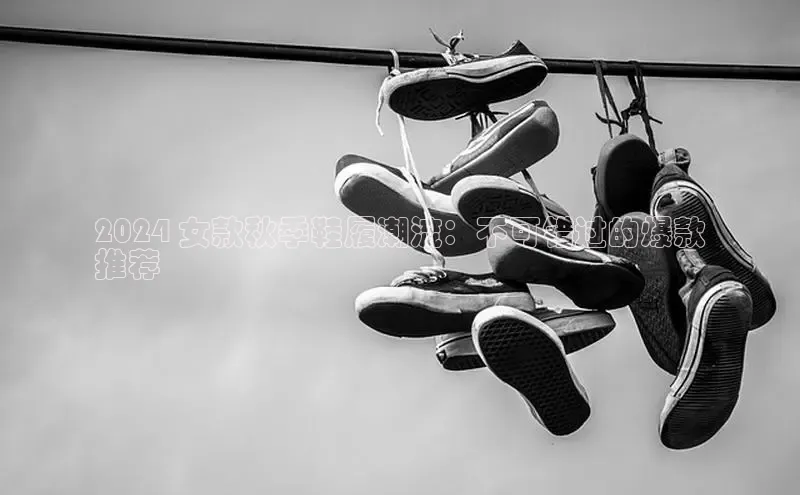 球速体育网址一径科技