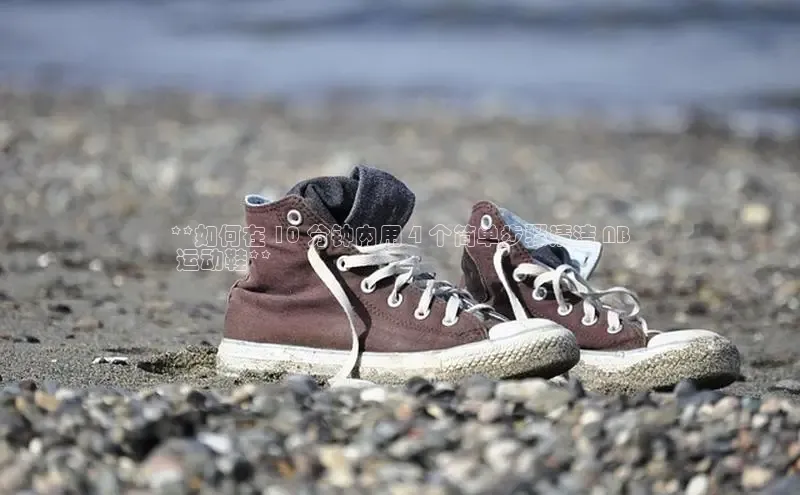 球速体育网页版登陆入口轻美电器