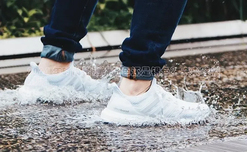 球速app官网登录入口中海达2024 年时尚预测：金色还是银色？未来鞋履
潮流