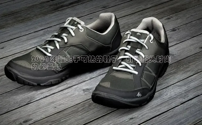 球速体育百度信誉2024 年最炙手可热的鞋子：引领街头时尚
的必备品