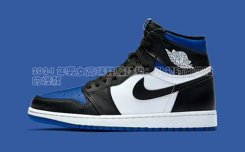 球速体育app下载官方阿里尔公司2024 年男女高端鞋履趋势：引领时尚前沿
的爆款