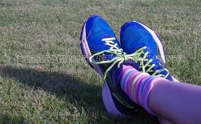 球速体育welcome登录百度翻译**优质运动鞋内衬布：提升舒适度和性能的秘诀
**