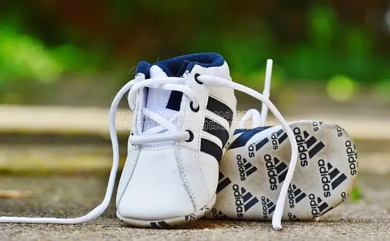 球速体育welcome登录百度翻译**2024 年不容错过的 2024 年春季
新款阿甘鞋，为您的时尚增添时尚感**