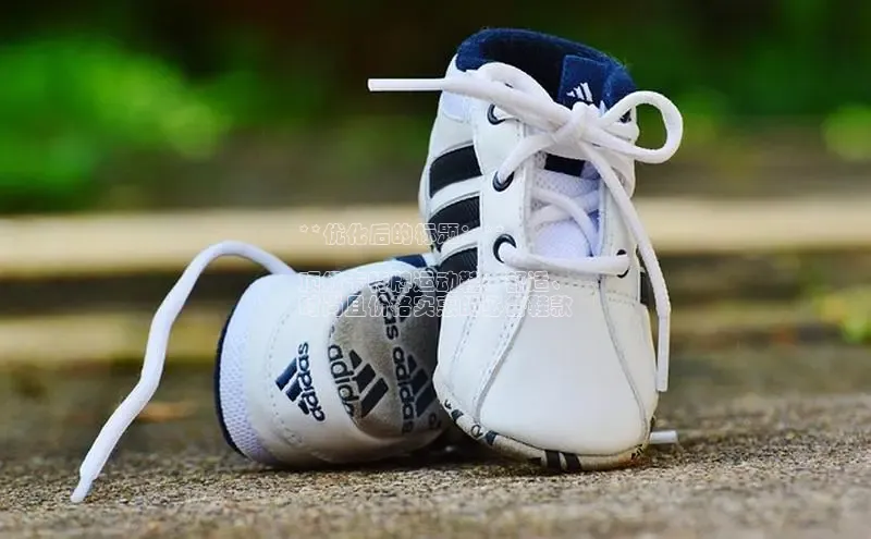 球速体育app登录入口百度手机卫士**优化后的标题：**

顶级卡特牌运动鞋：舒适、
时尚且价格实惠的必备鞋款