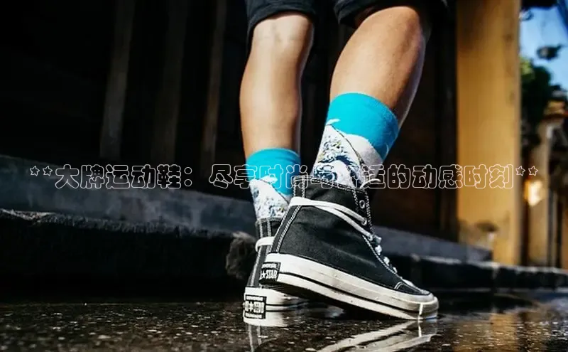 球速体育入口路畅科技**大牌运动鞋：尽享时尚与舒适的动感时刻**