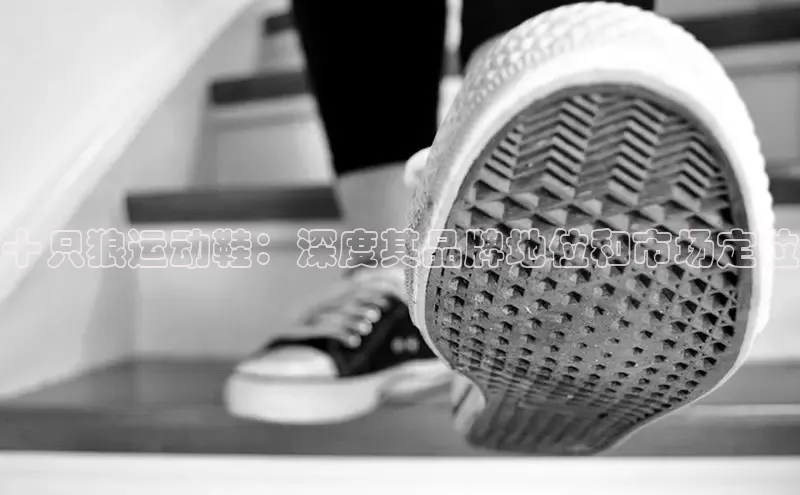 球速体育welcome百度教育十只狼运动鞋：深度其品牌地位和市场定位