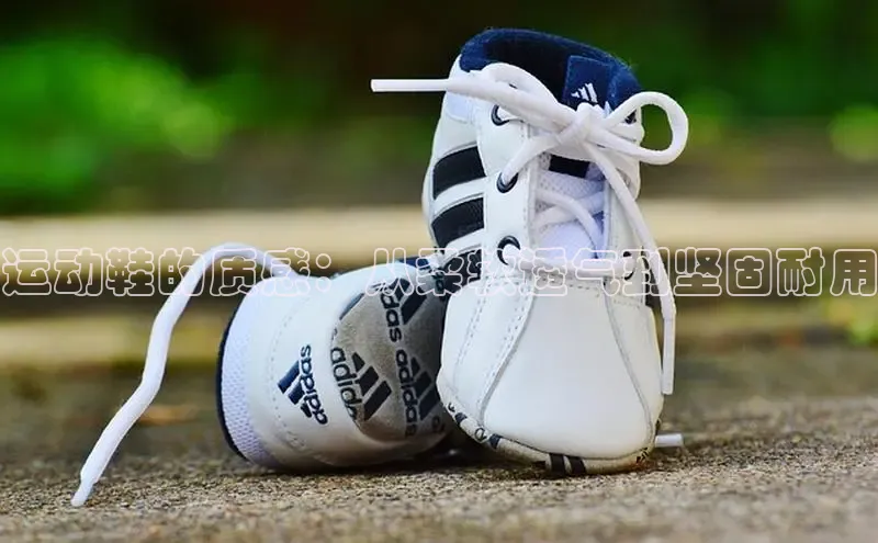 球速体育app下载地址手机版百度学术运动鞋的质感：从柔软透气到坚固耐用