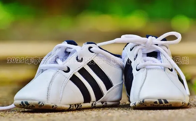 2025年李宁运动鞋男款发布：革新设计引领潮流风尚