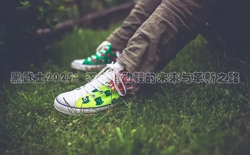 黑武士2025：李宁运动鞋的未来与革新之路