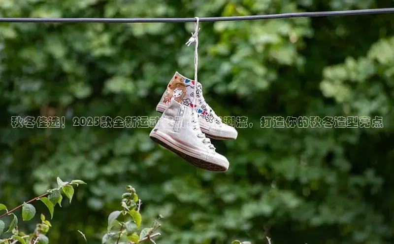 球速体育网页版