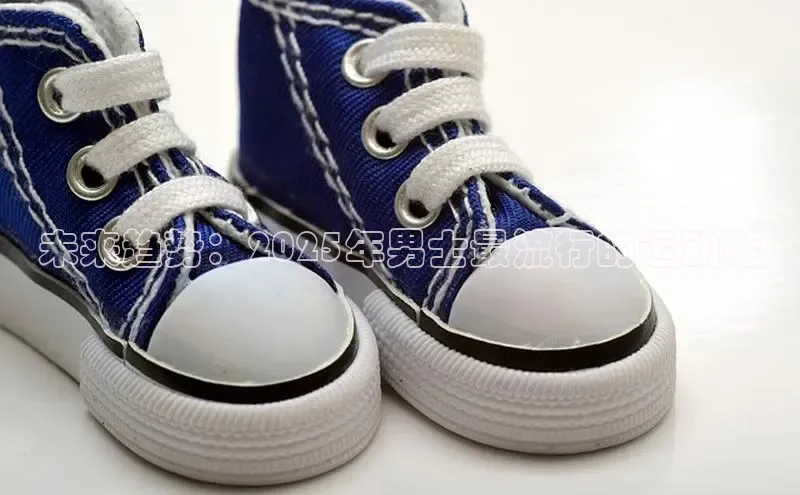 球速体育网页版登陆入口