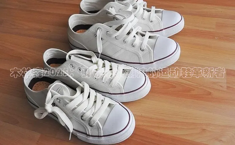 球速体育app下载地址手机版