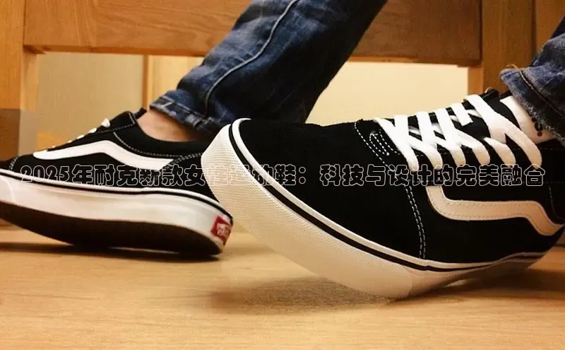 球速体育网页版登陆入口