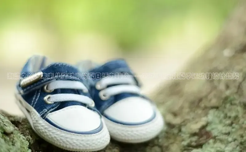 球速体育网页版