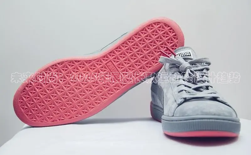 球速体育网页版登陆入口